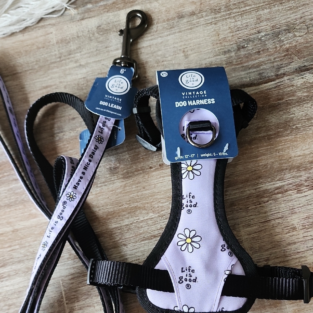 Life is Good Dog Harness and Leash Set - "Have a Nice Daisy" Purple / Lavender
